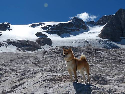 运动装备技术研发项目,运动装备技术研发项目有哪些