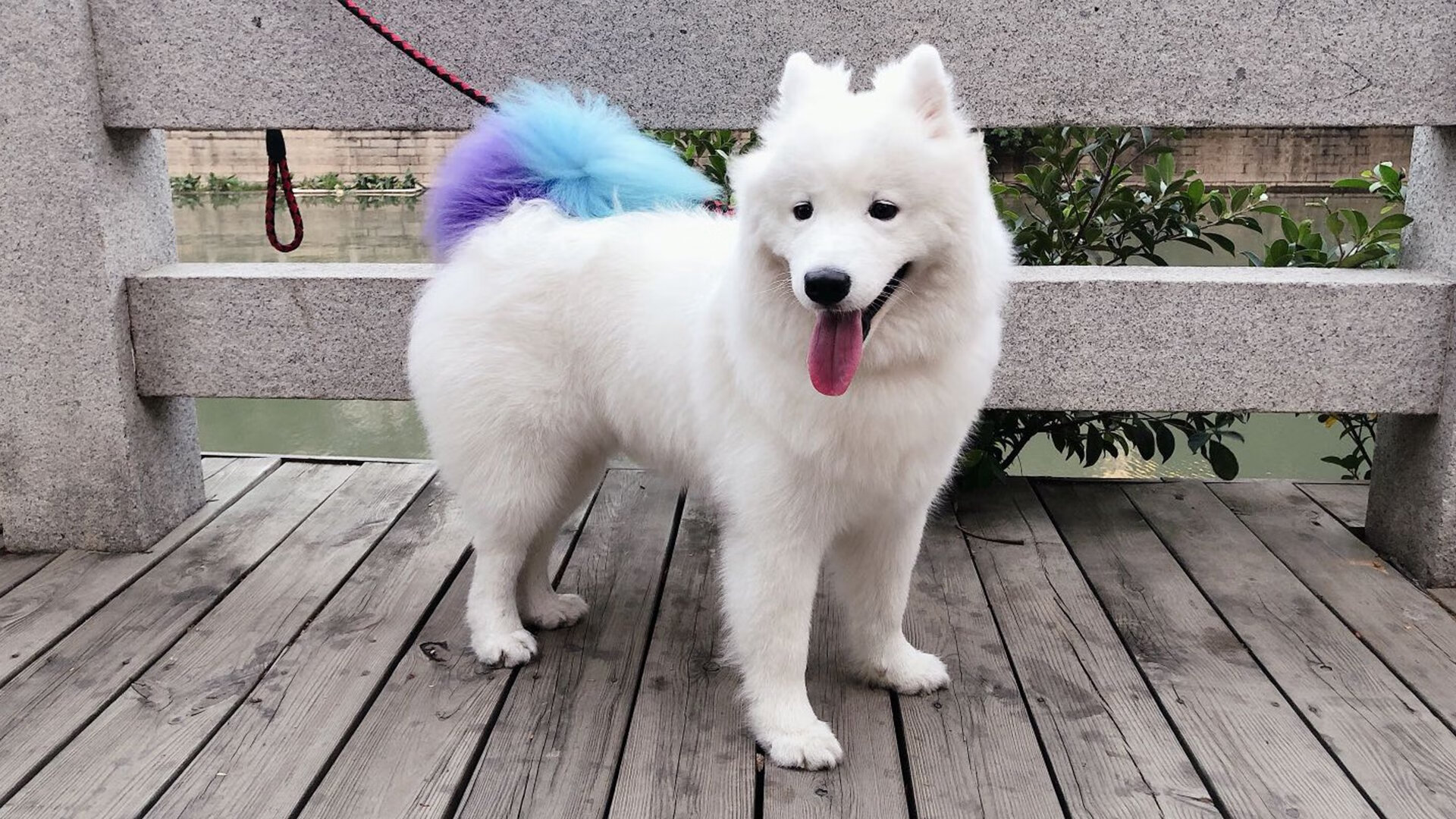 体育新闻中心打造青少年体育数字内容专区,青少年体育杂志电话