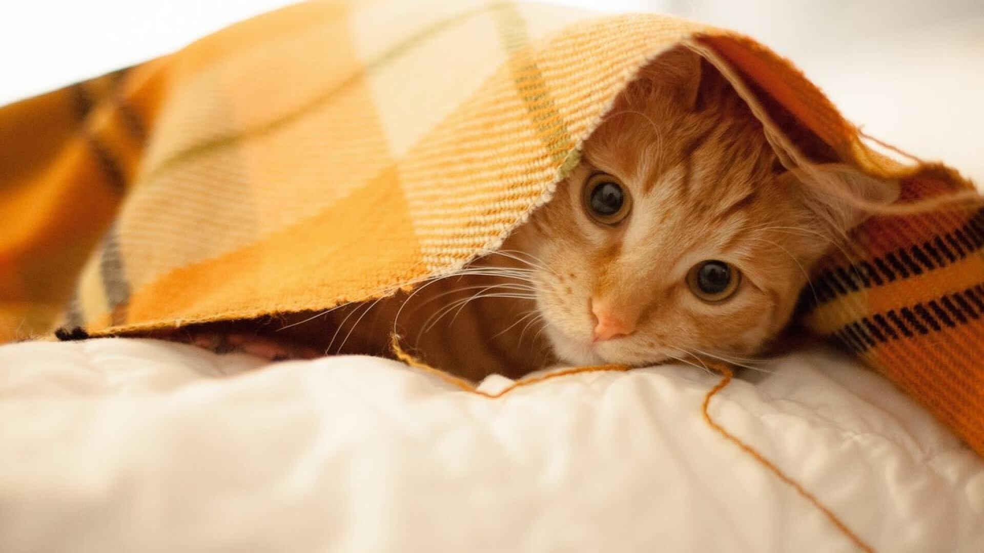 转身动作连贯性影响比赛结果，转身动作要领