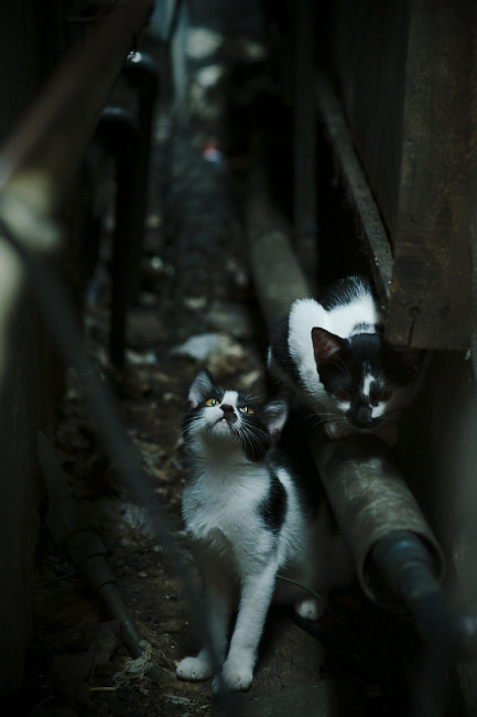 九游登录入口-世界杯赛事期间的明星采访，世界杯球员采访