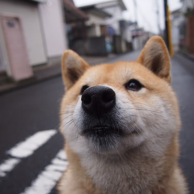 中国篮球发布官方战术词库规范术语表达,篮球战术专业术语